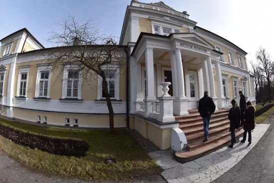 Palac hr. Starzenskich