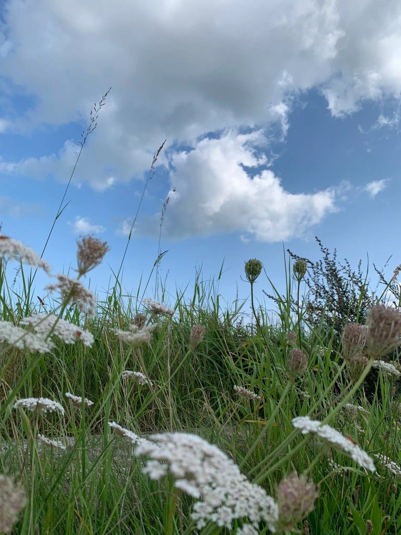 Urlaubsart - Ostsee - Urlaub in Kappelns Schleibrucke