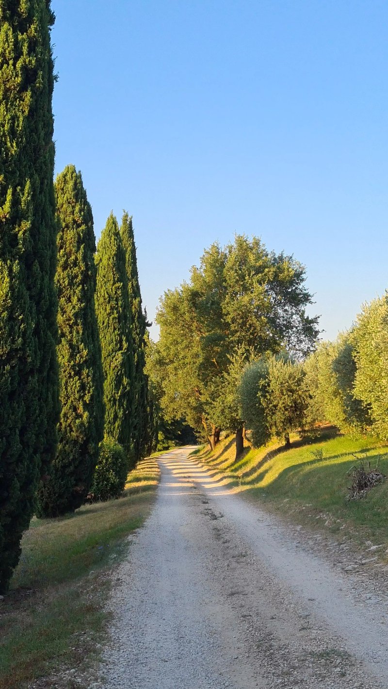 Agriturismo Il Borghetto
