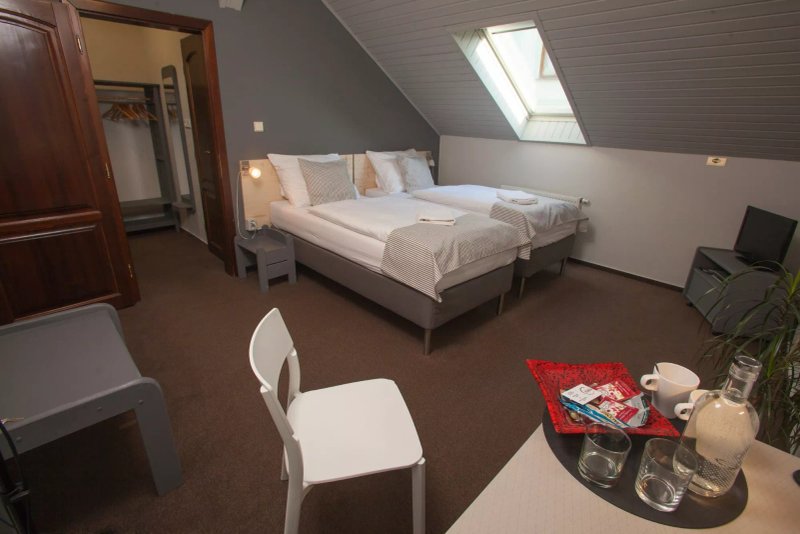 Pension Pulmesic