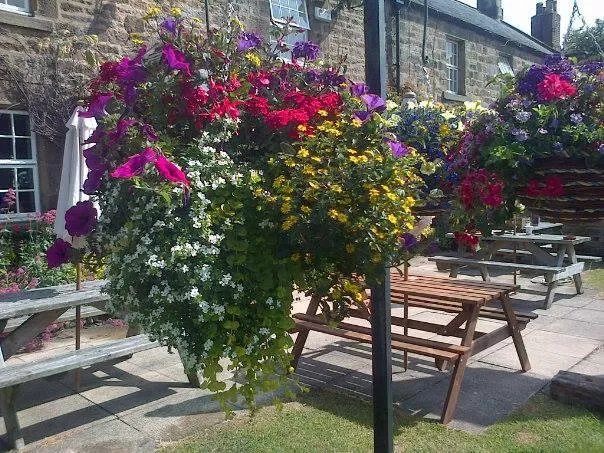 The Black Bull