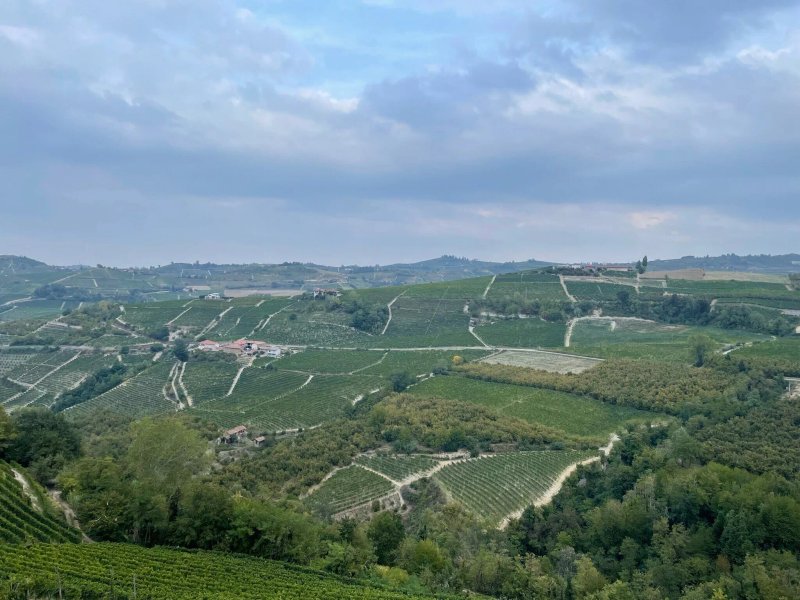 Agriturismo Finestre di Langa