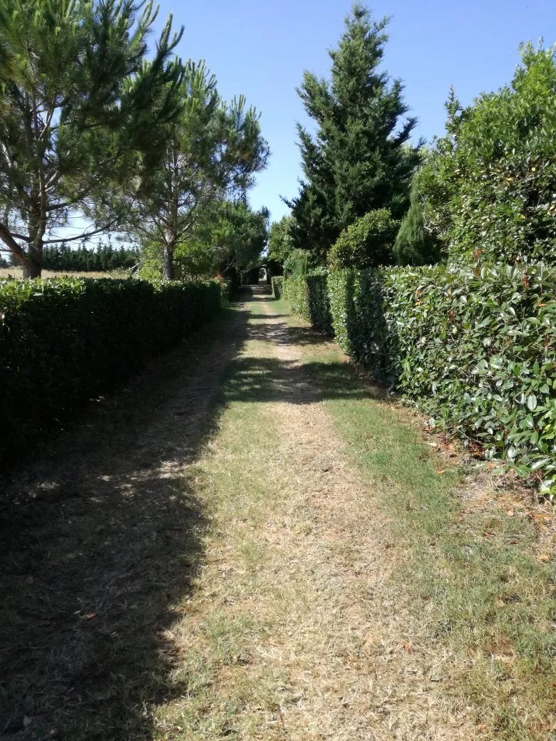 Podere Adorni