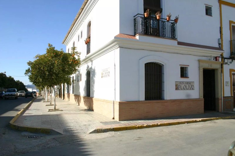 Casa Rural El Olivo