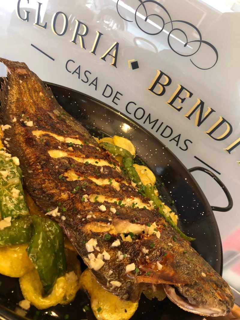 Gloria Bendita