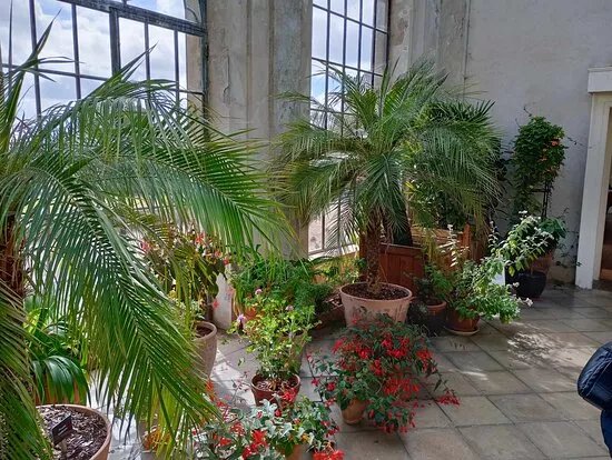 National Trust Trelissick House And Gardens