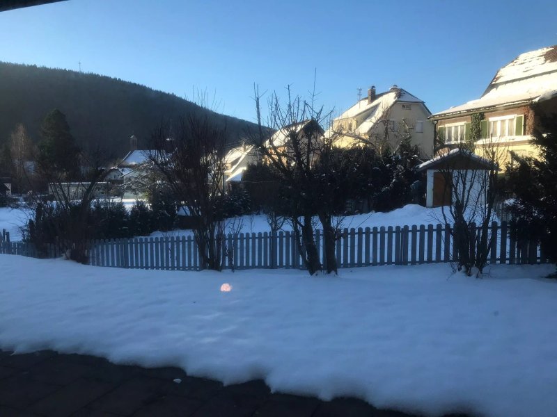Schwarzwald Schaefer