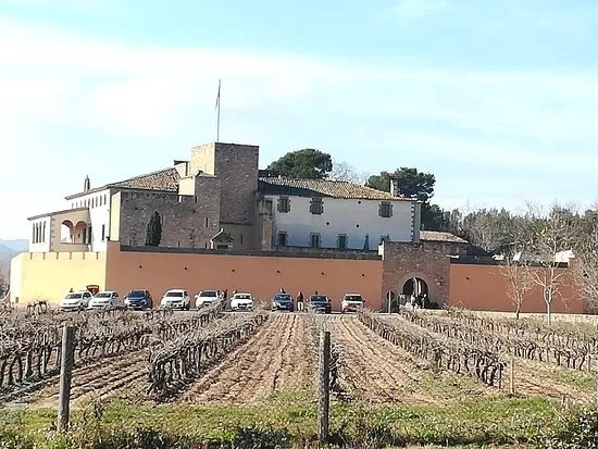 Oller del Mas