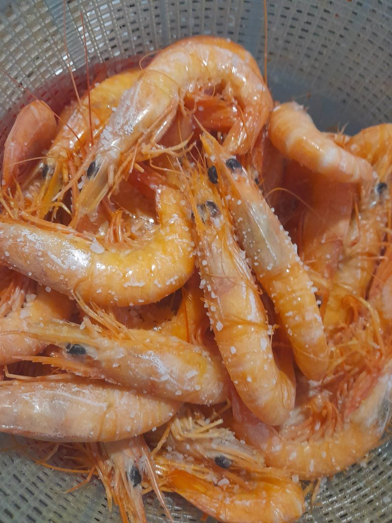 Trave Velha
