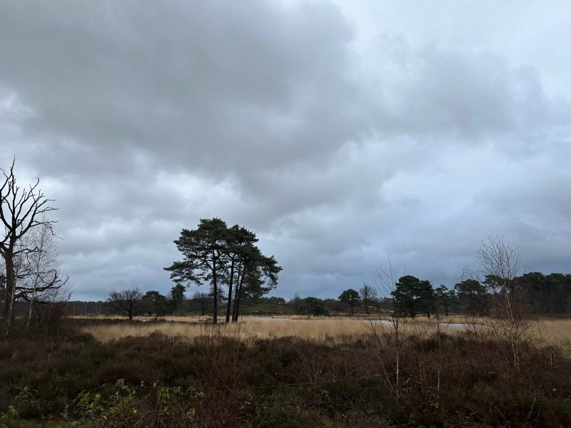 B&B Agnetenhoeve