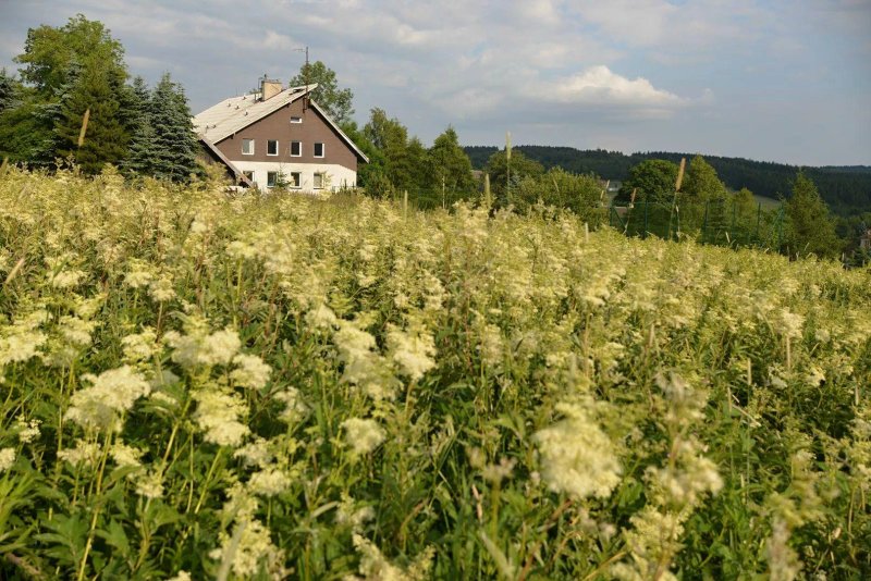 Penzion Kovarska