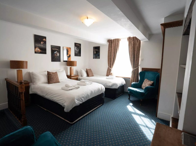 Without A Paddle Hotel