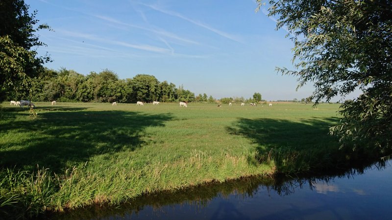Camping de Landhoeve Lekkerland Lekdij