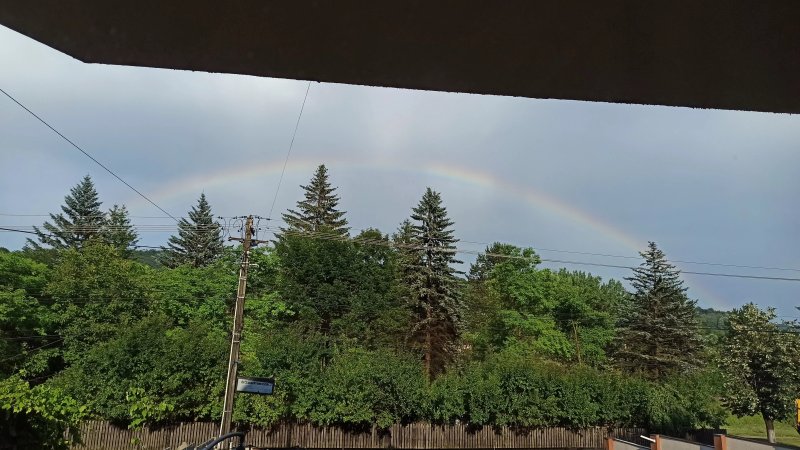 Pensiunea Casuta cu Trandafiri 2