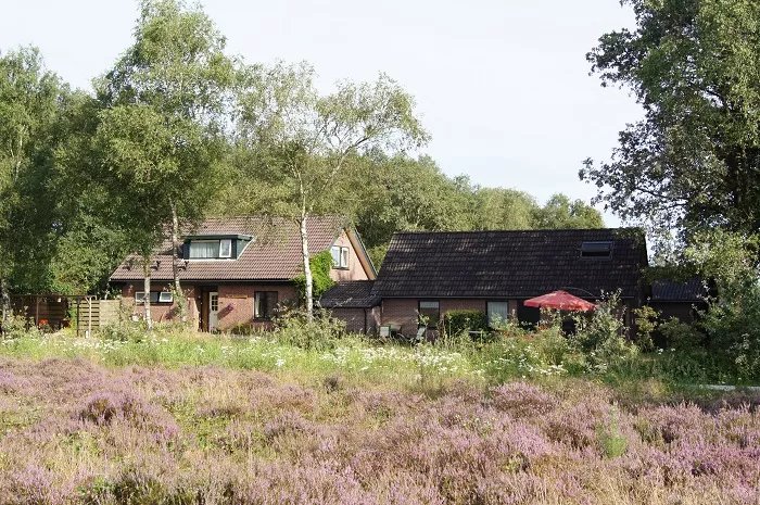 B & B Heidezicht