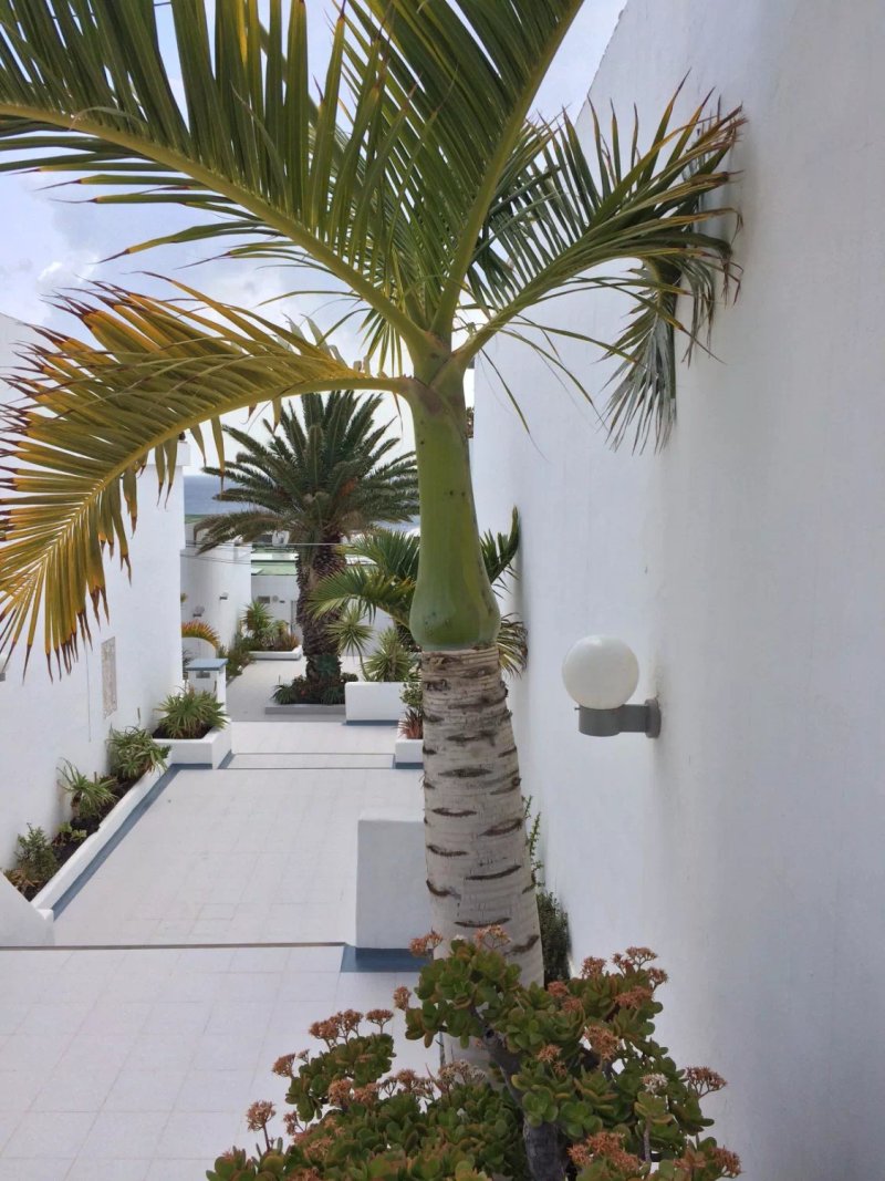 Colony Club