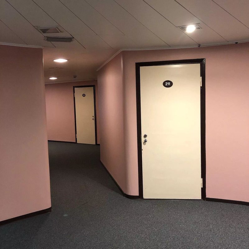 Hotel Hirvi