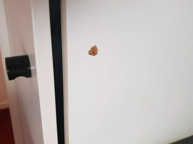 Aparthotel Adagio Access Lille Vauban