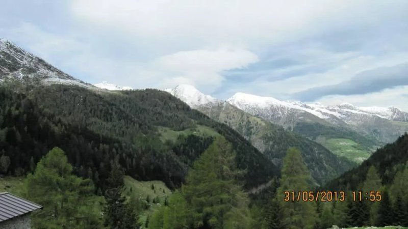 Pineta