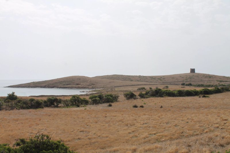 Torre Di Trabuccato