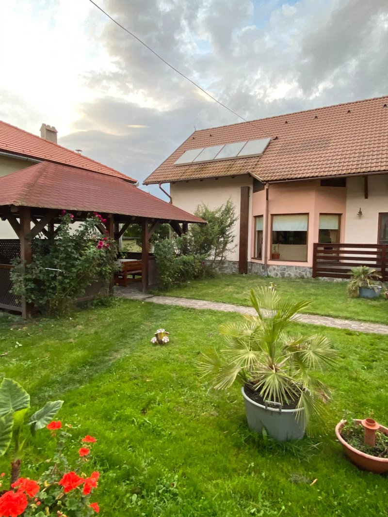 Colt de Rai