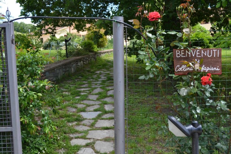 Agriturismo Collina dei Fagiani