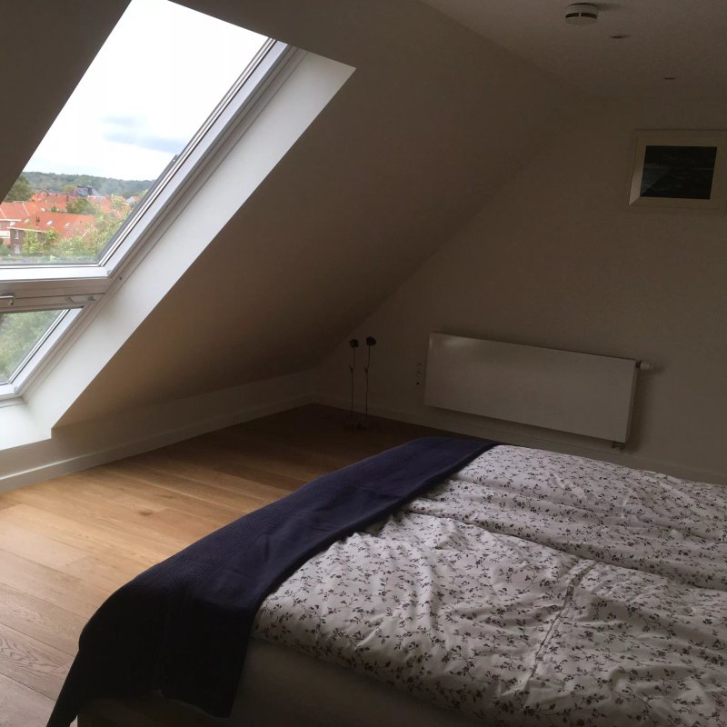 Wannes Suite