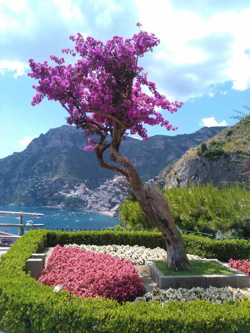 Praiano Car Service