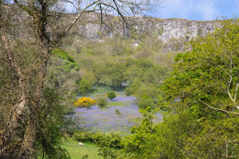 Kilmore Country House
