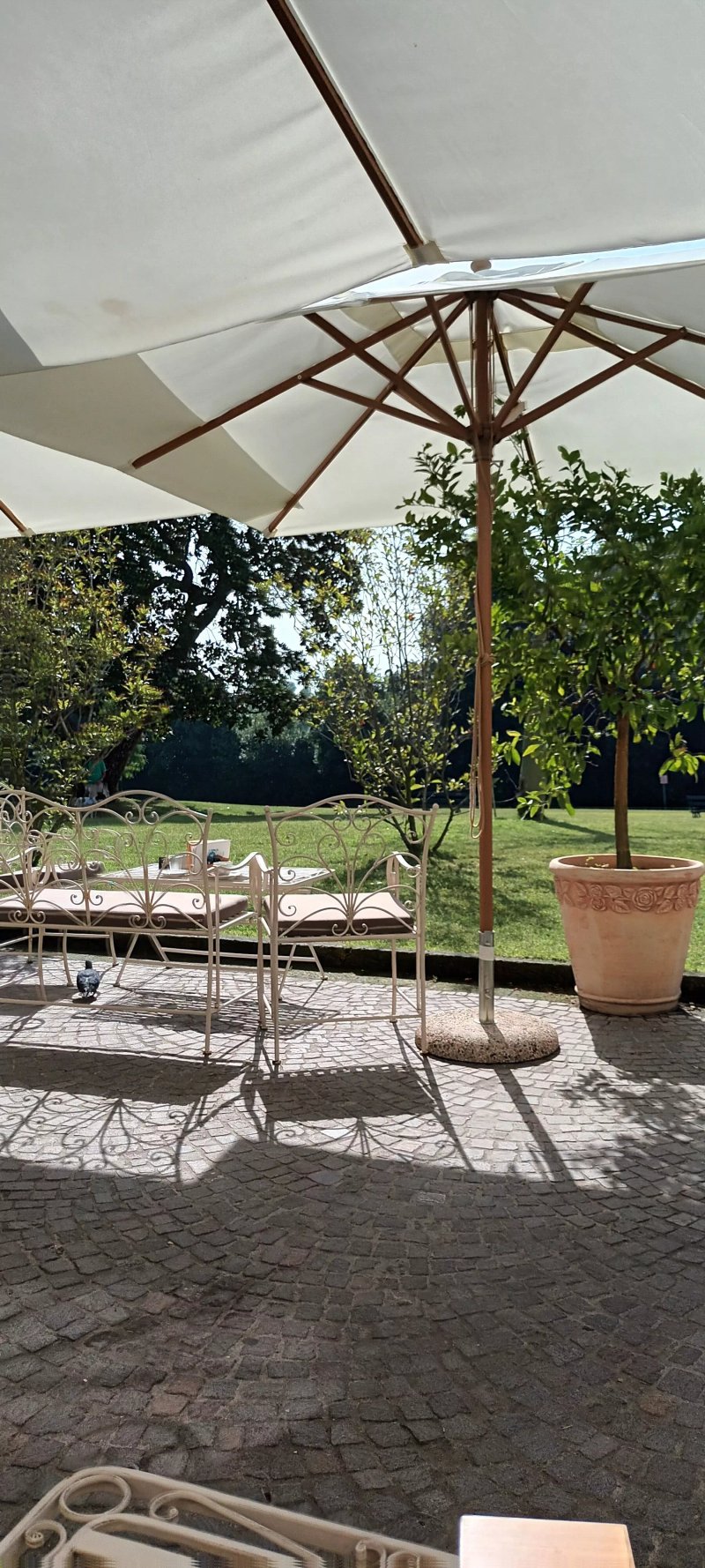 Delizie Reali Stufa dei Fiori