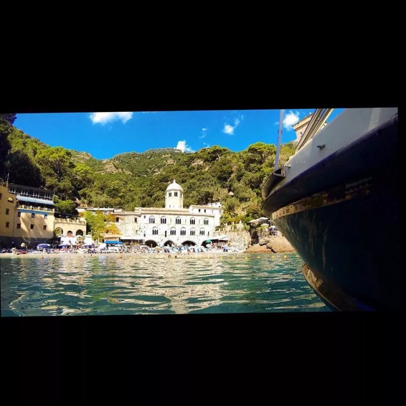 Cesare Charter Portofino