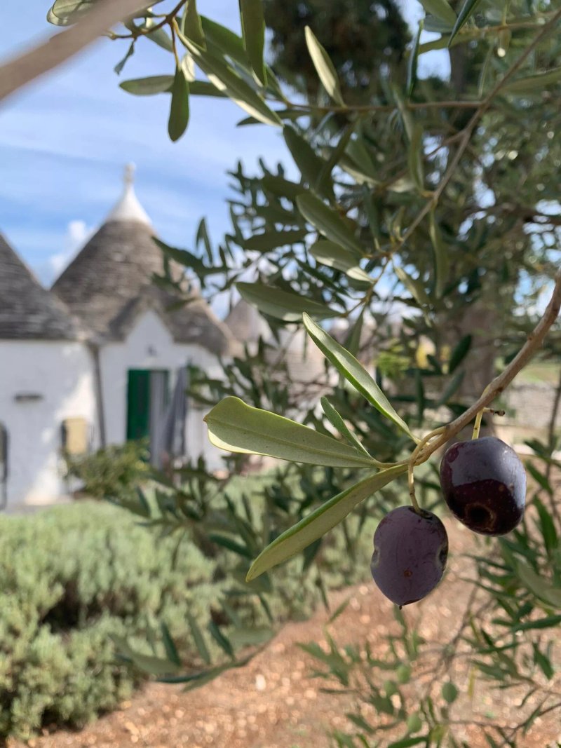 Agriturismo Masseria Aprile