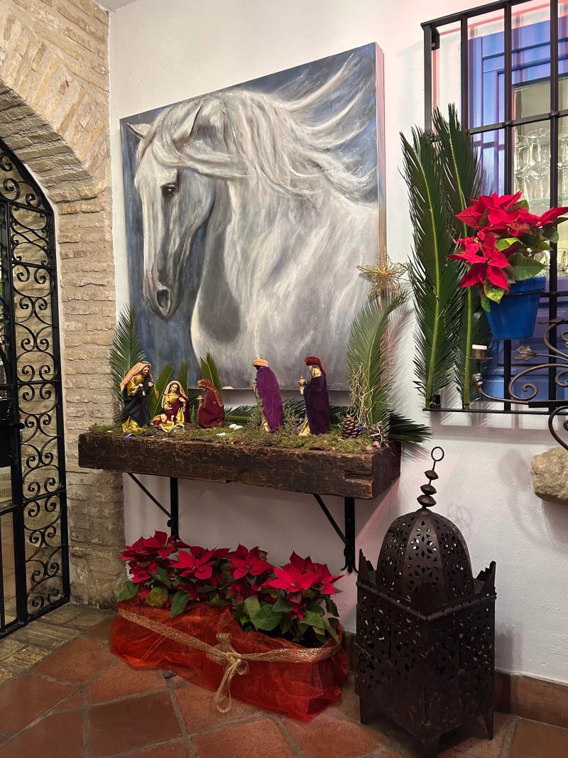 La Posada Del Caballo Andaluz