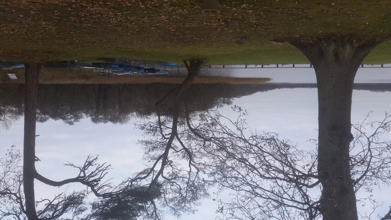 Filby Bridge Restaurant at Filby Broad