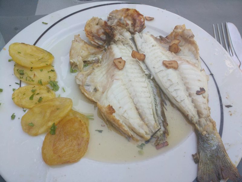 Edaritegia Taxco Taberna