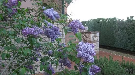 B&B Villa La Grandetta