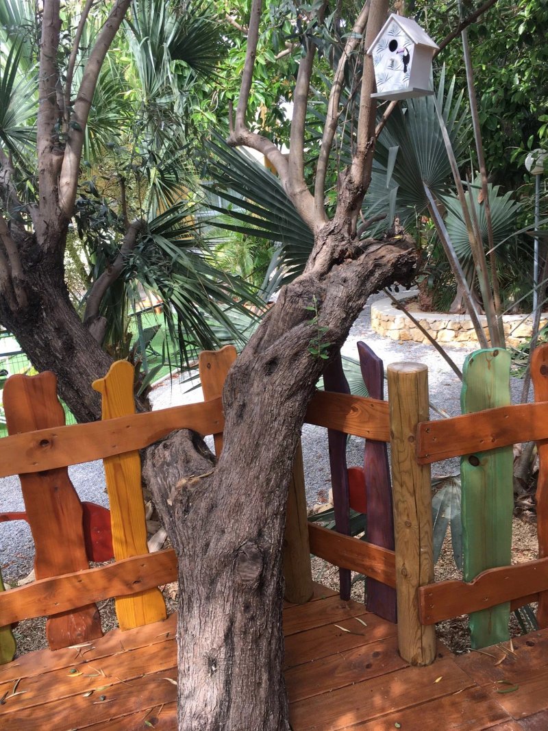Apartamentos El Palmeral de Madaria