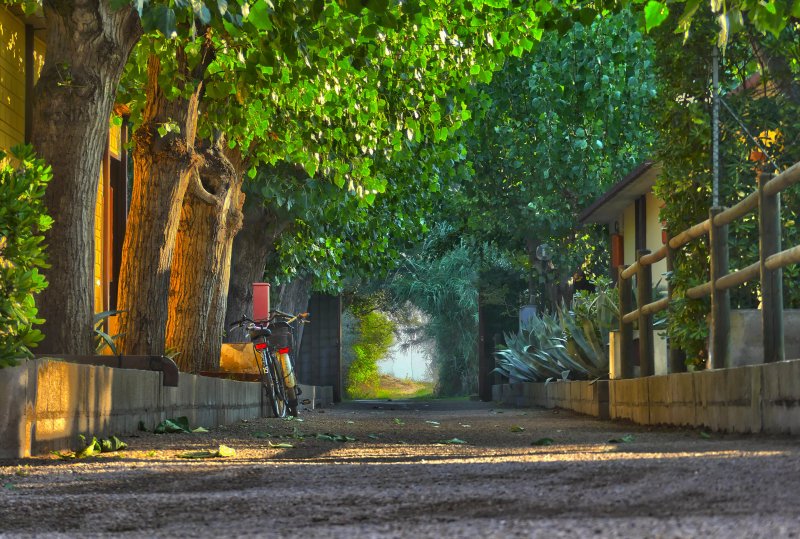 Il Pioppeto Camping&Residence
