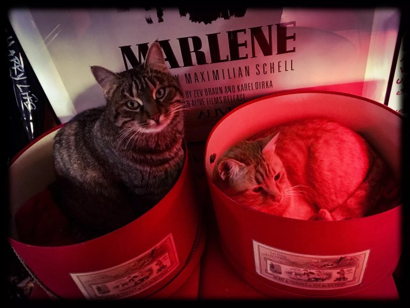 De Klenge Randschelter Bistrot "Miro"