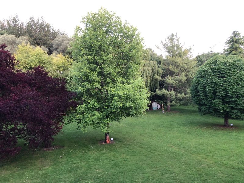 Domaine De Jacquelin