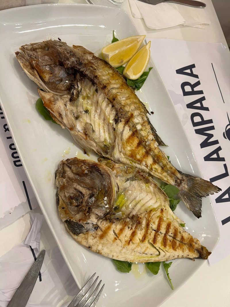 La Lampara Fish Lab