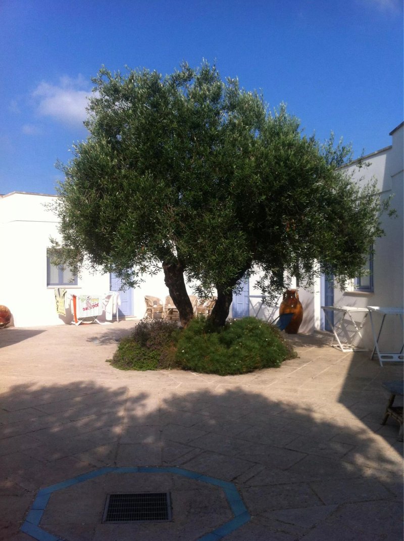 Tenuta De Marco Residence
