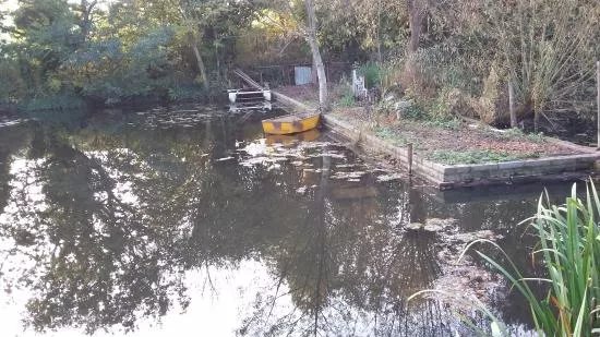 Hamgreen Fishing Club