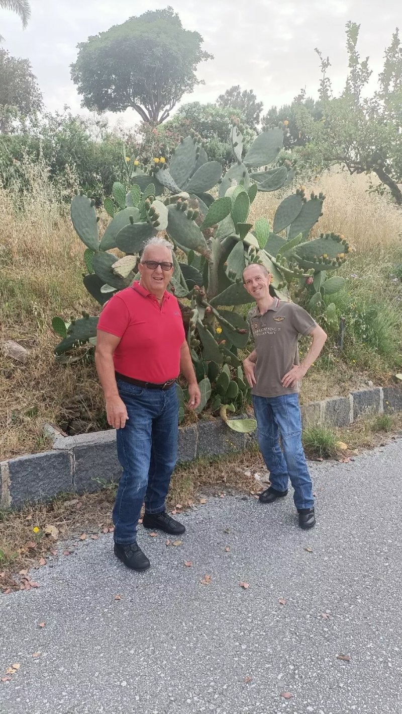 Agriturismo La Camelia