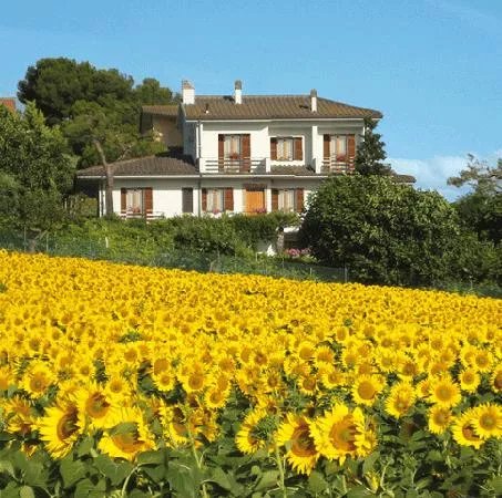 The Sea in The Middle Bed&Breakfast