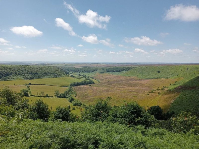 Bank Top Camping - Newton-Upon-Rawcliffe