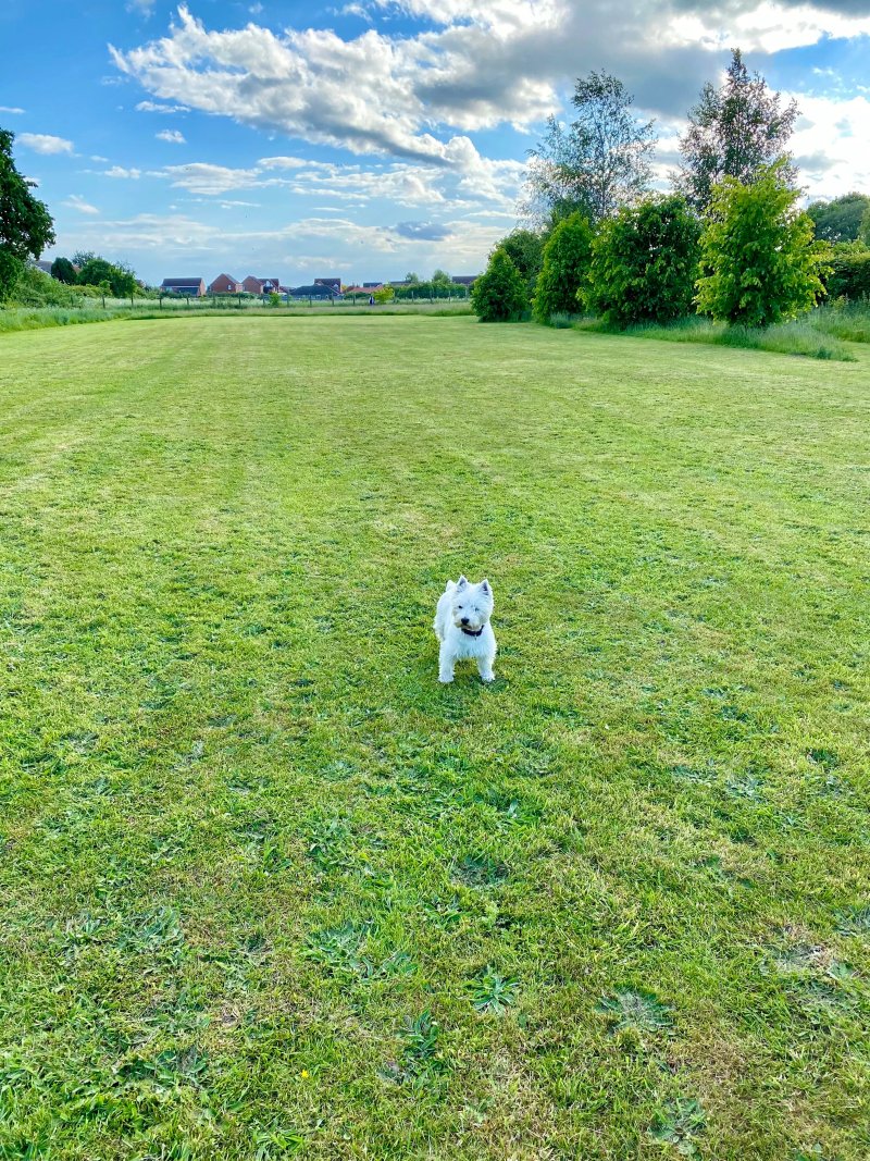Petwood Caravan Park
