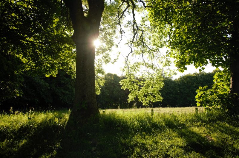 West Wood Yurts Ltd