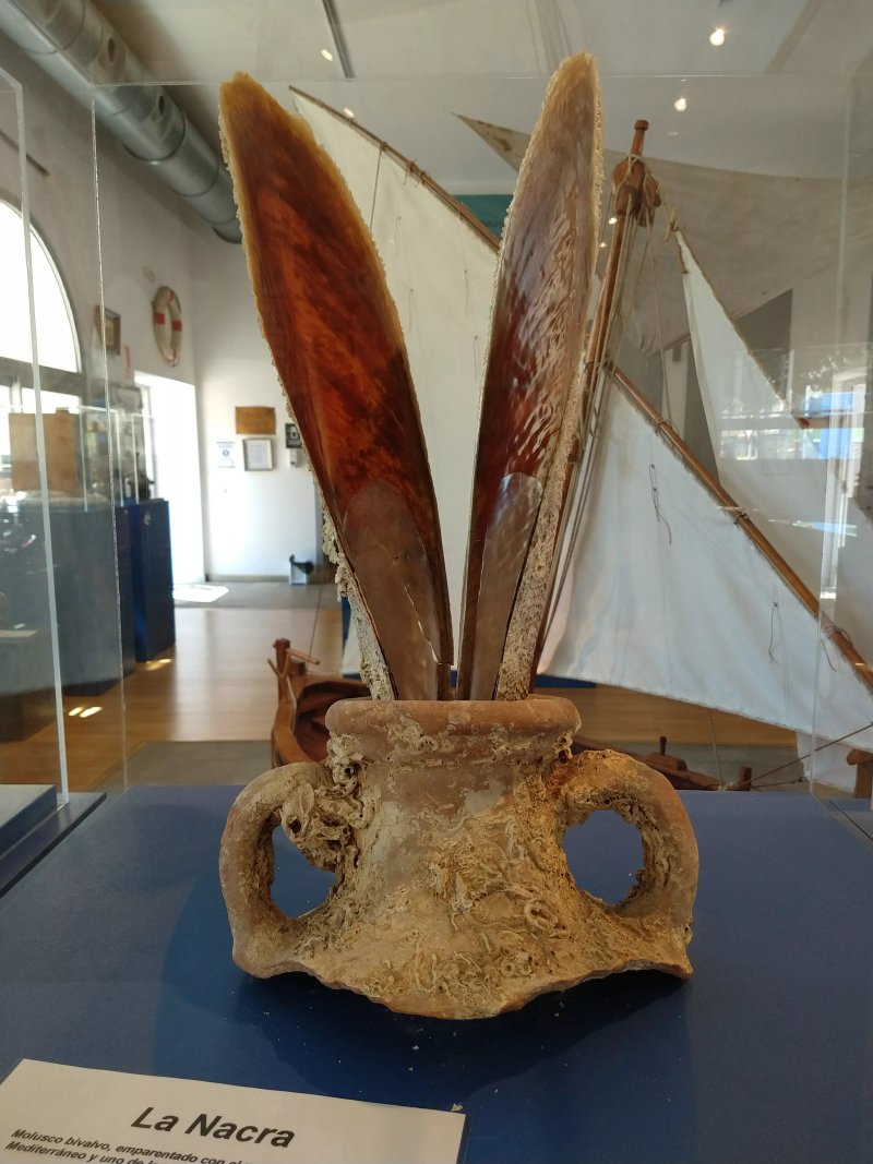 Museu De La Mar