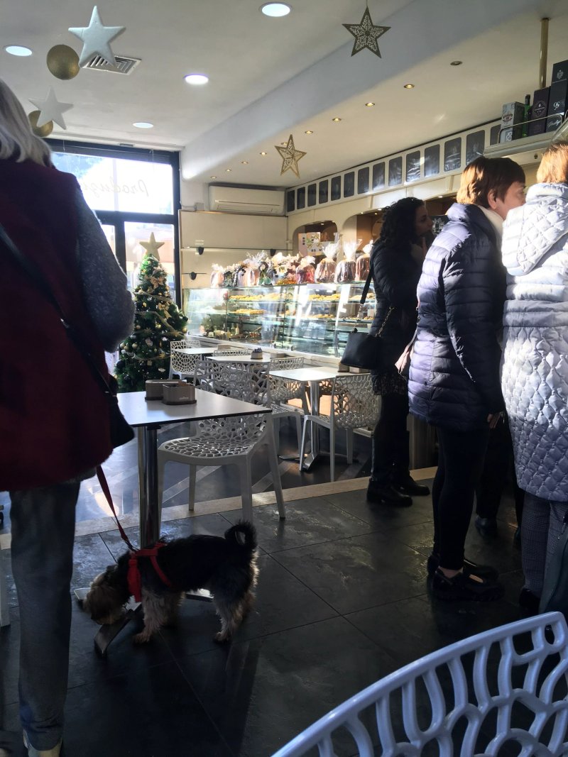 Bar Pasticceria Gelateria Grossi
